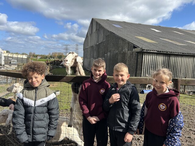 Today we went to Ridgeway Farm and had such a fun day! We learnt lots of interesting facts we never knew before, we got to feed all the farm animals and we even saw a lamb that was only born yesterday! We loved our trip to the farm! 
