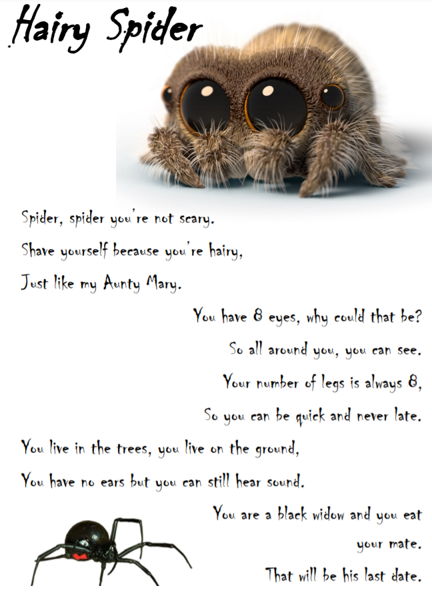 Image of Spider poem